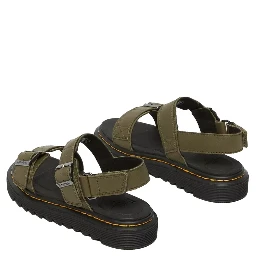 KYLE J DMS OLIVE STELLAR