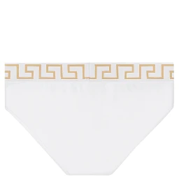 زلاقة باليونانية