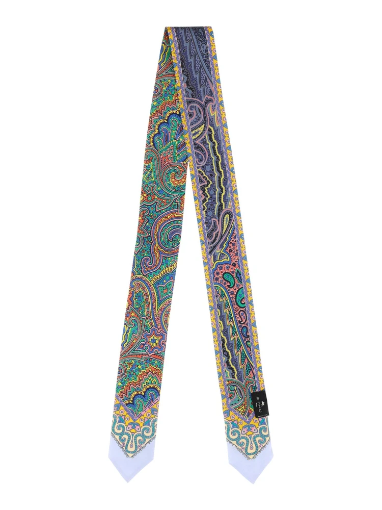 SILK PAISLEYNA MAXI alternative