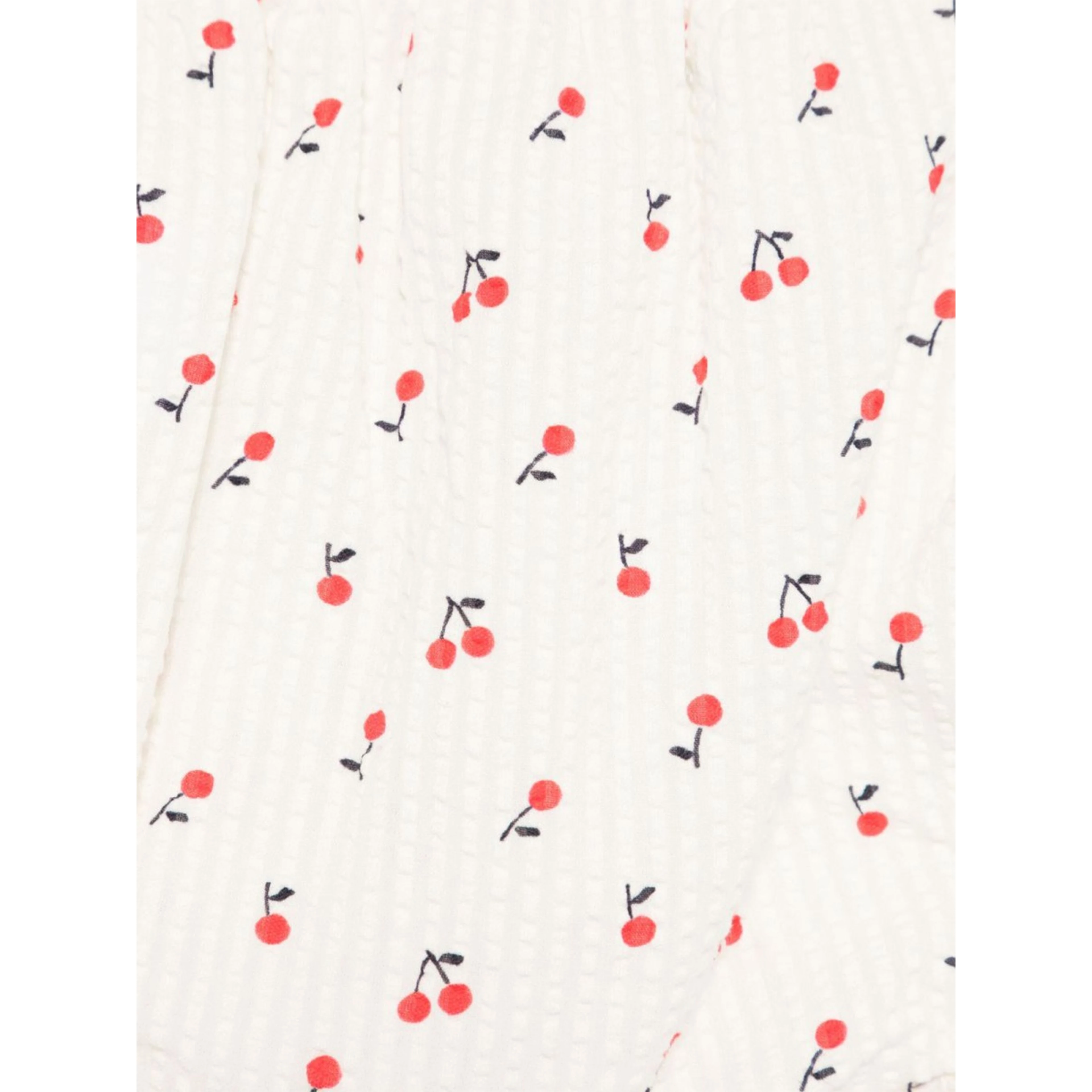 CULOTTE