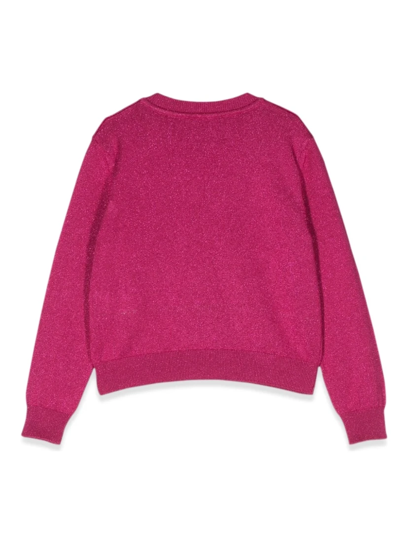 crew neck pullover with embroidered logo