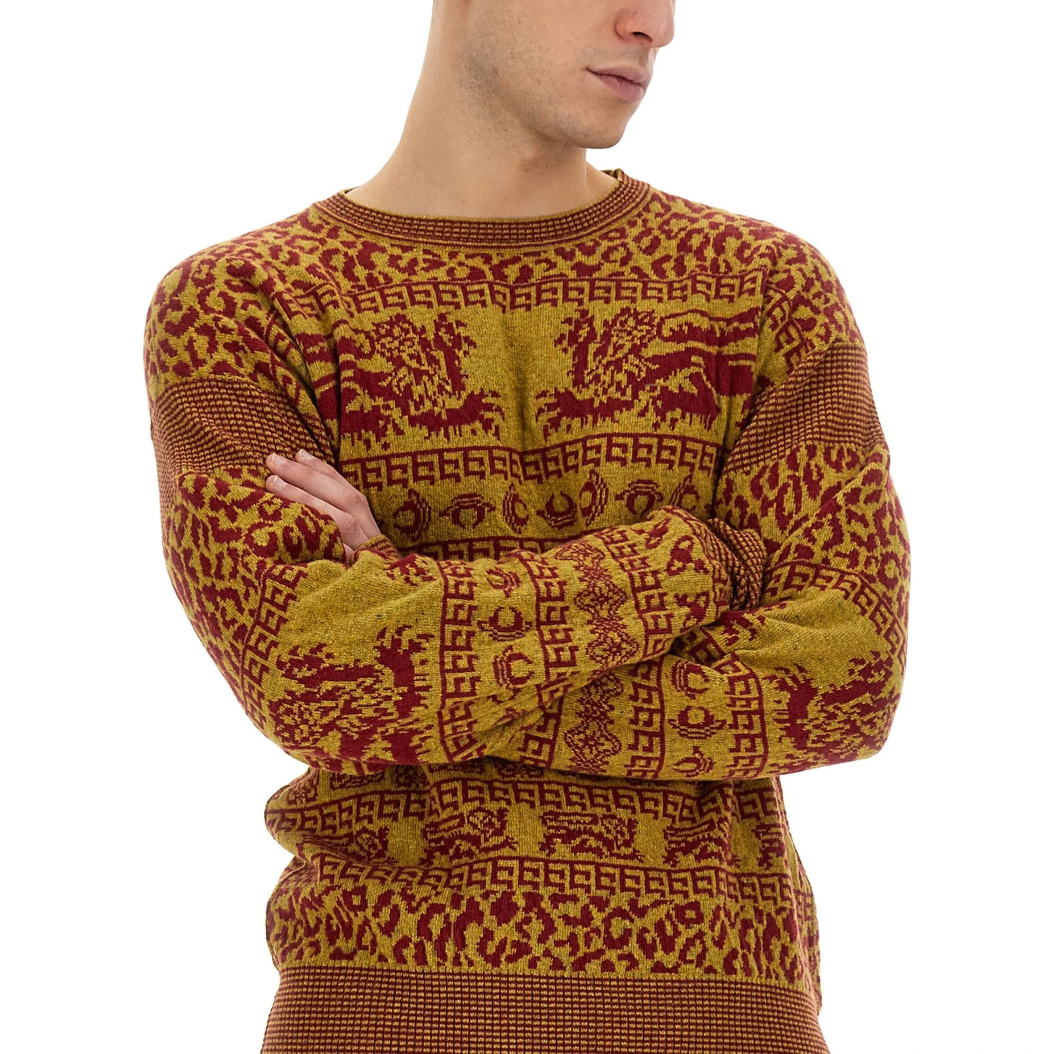 SHIRT "LION"