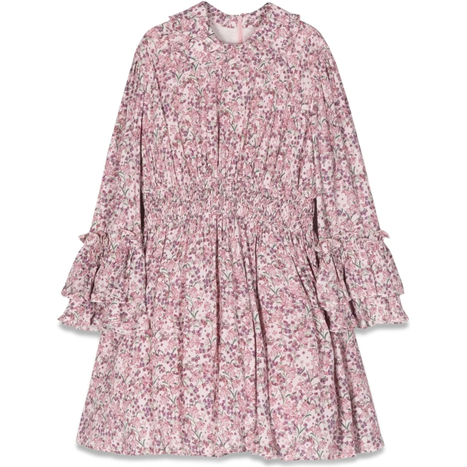 dress with ruffled collar and sleeves