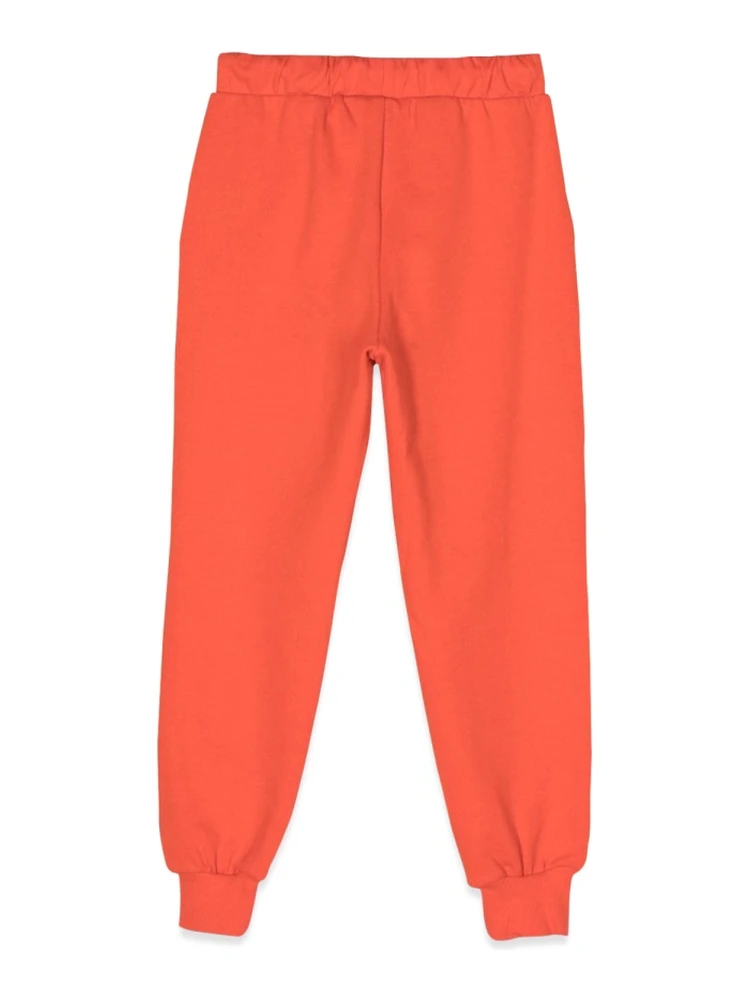 angry cat application sweatpants alternative