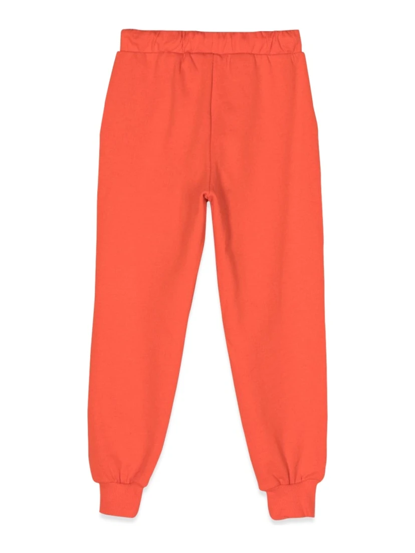 angry cat application sweatpants
