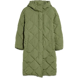 باركا خضراء