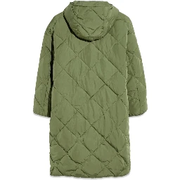 باركا خضراء