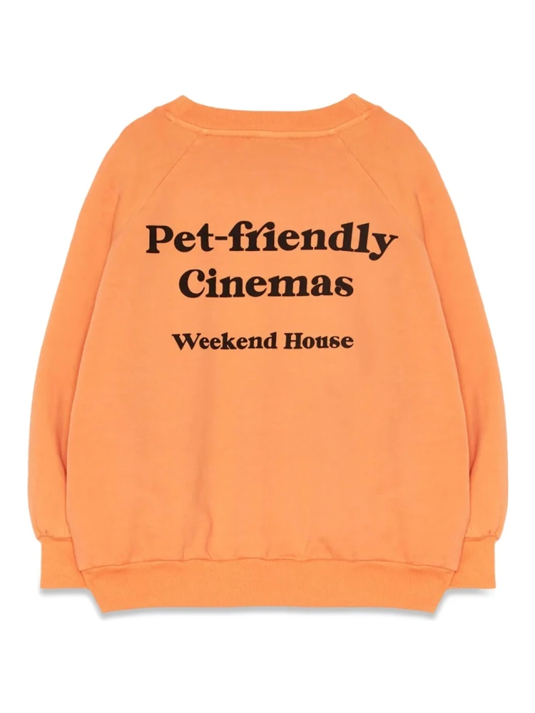 dog sweatshirt with pockets alternative