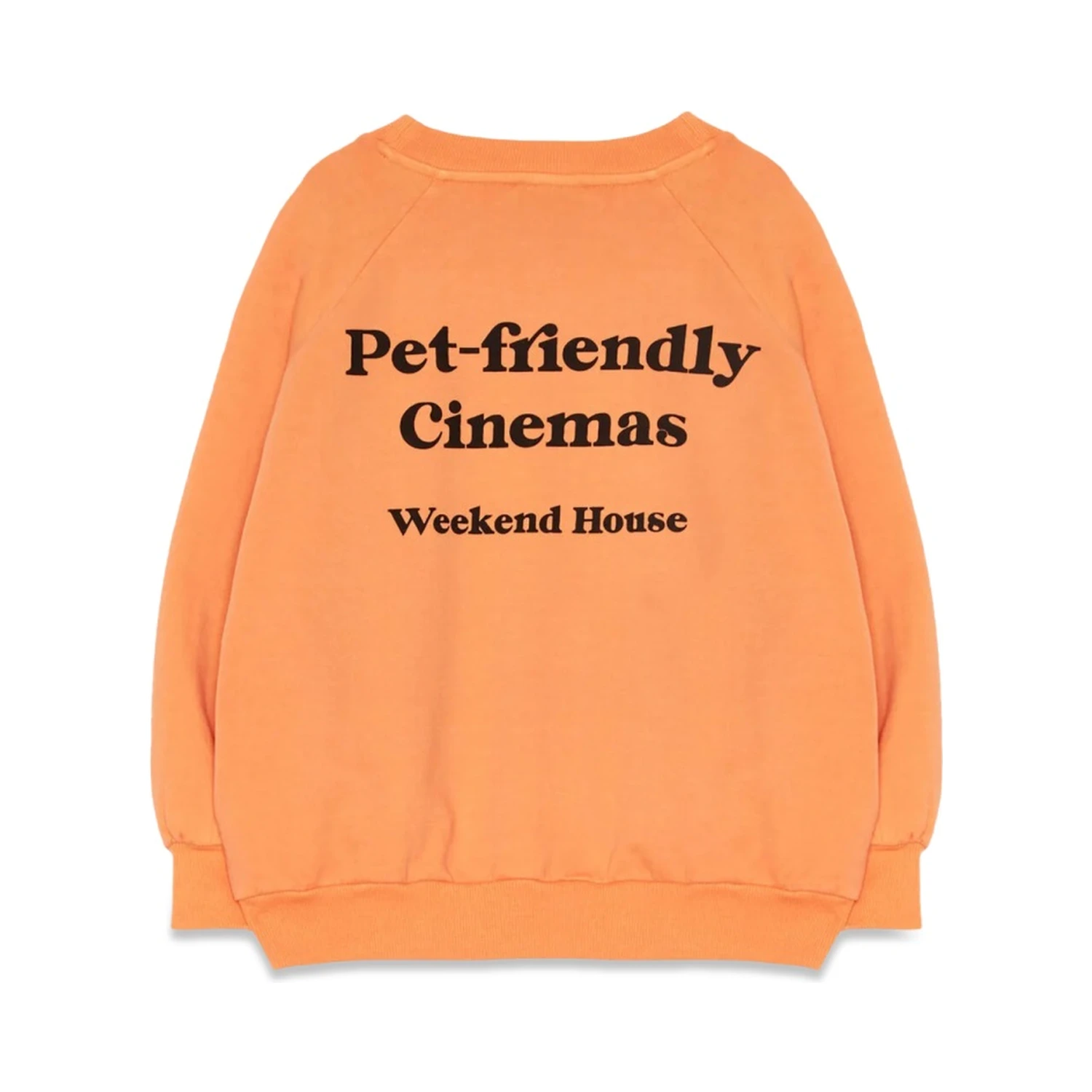 dog sweatshirt with pockets