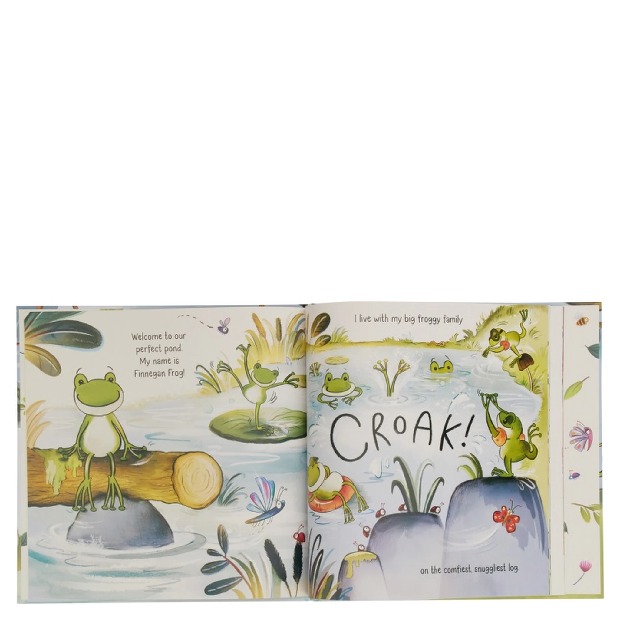 PLUSH "A FANTASTIC DAY FOR FINNEGAN FROG BOOK"