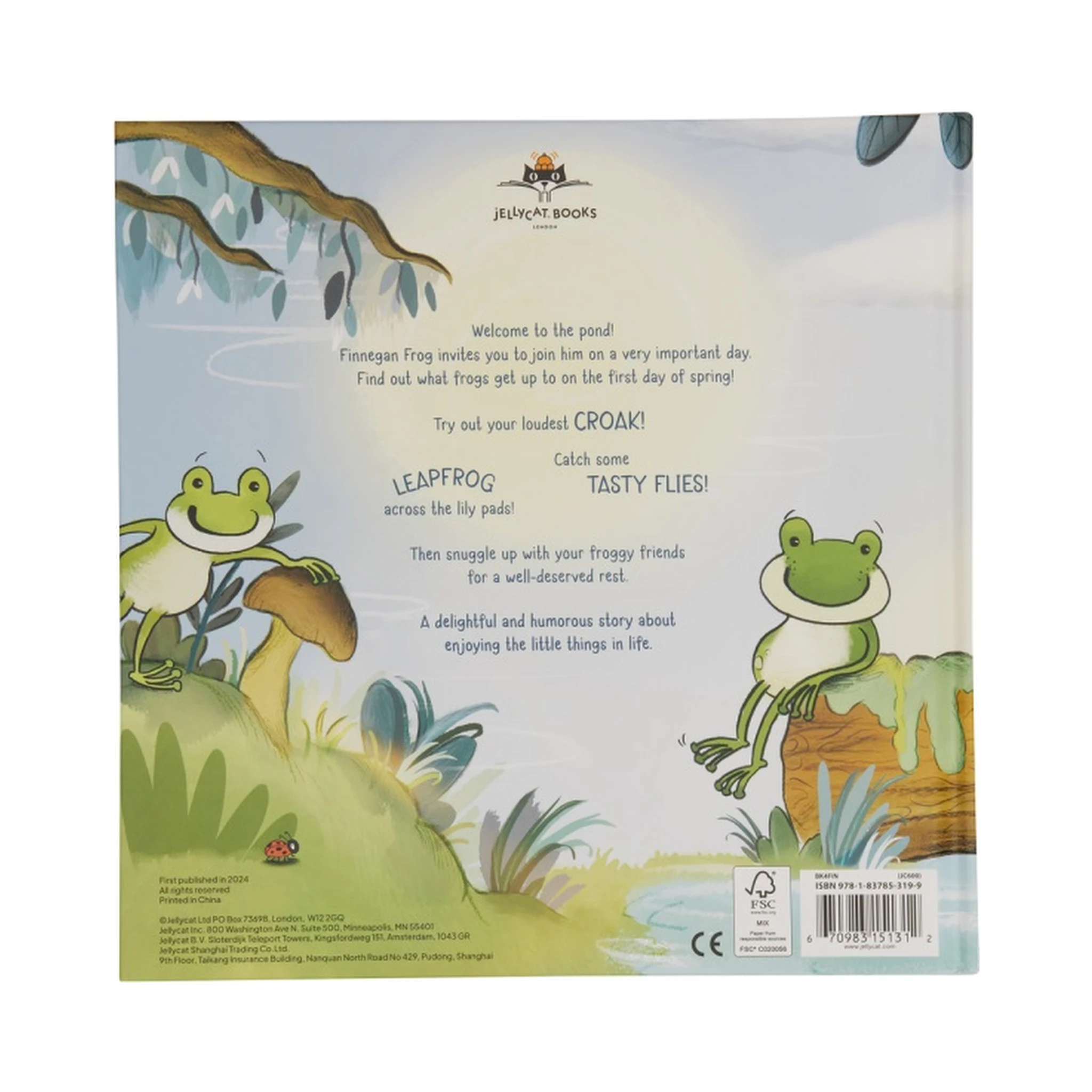 PLUSH "A FANTASTIC DAY FOR FINNEGAN FROG BOOK"