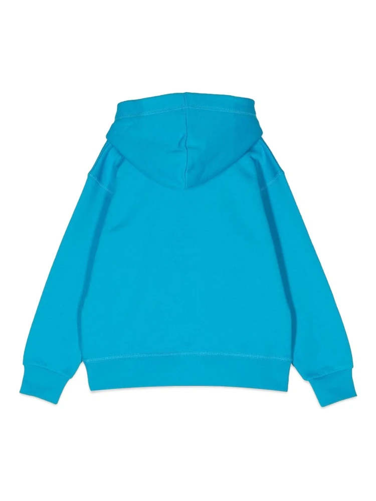 hoodie and logo eco alternative