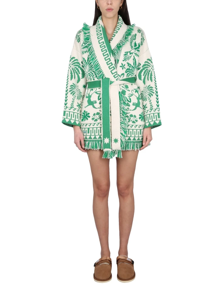 KNIT SHORTS alternative