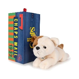the american bulldog in giftbox