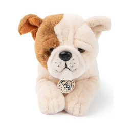 the american bulldog in giftbox