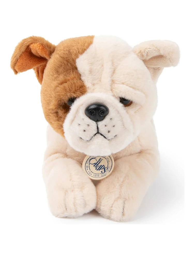 the american bulldog in giftbox alternative