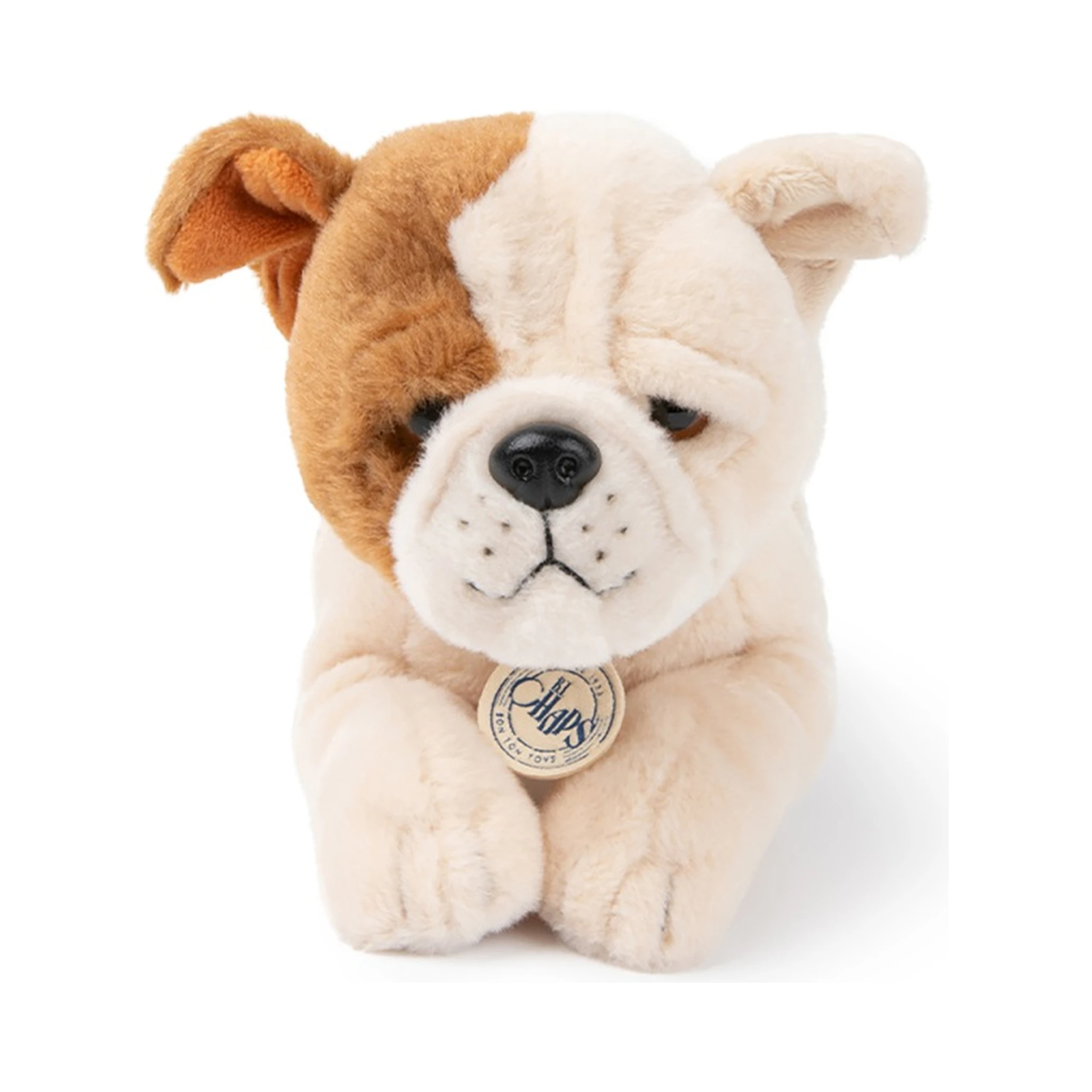 the american bulldog in giftbox
