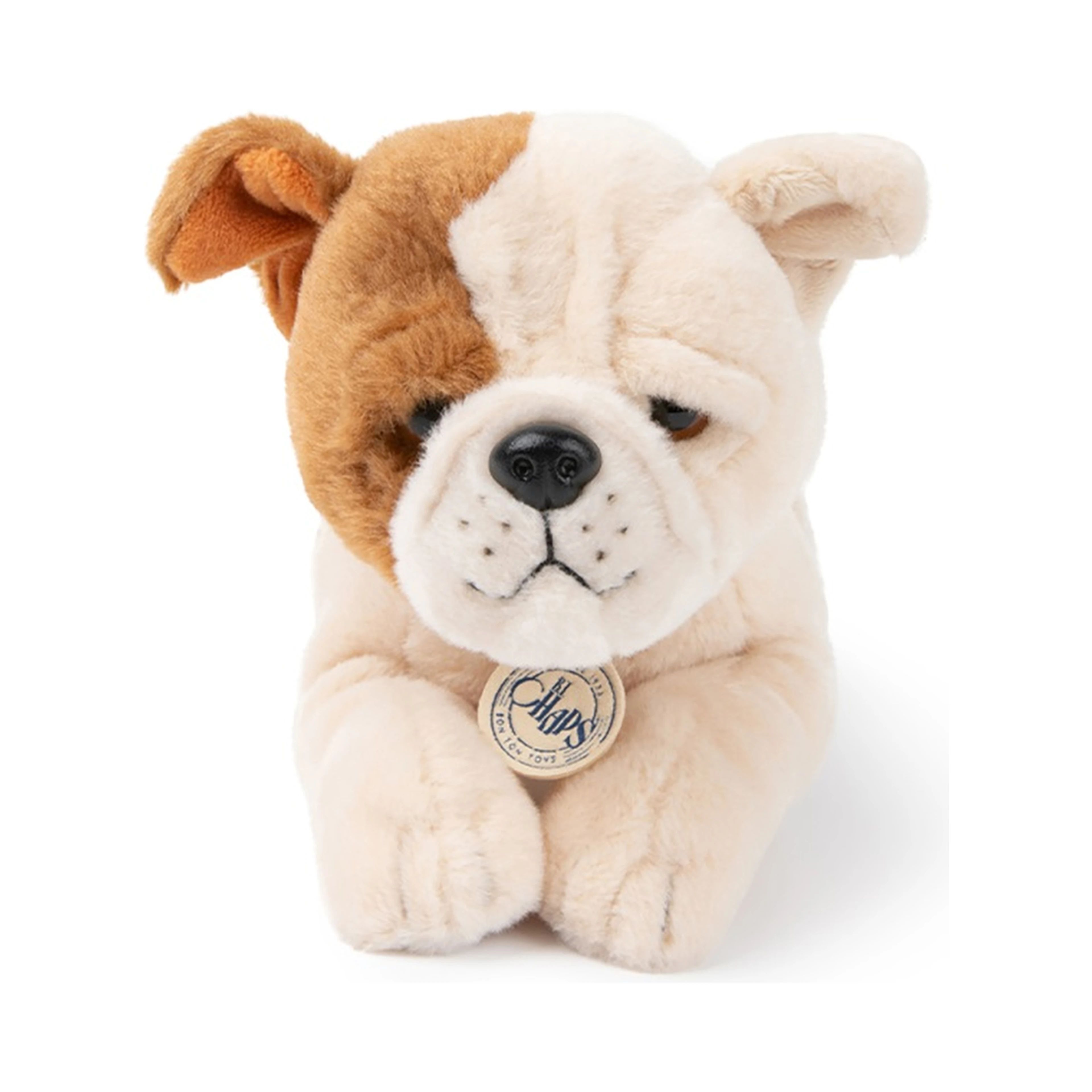 the american bulldog in giftbox