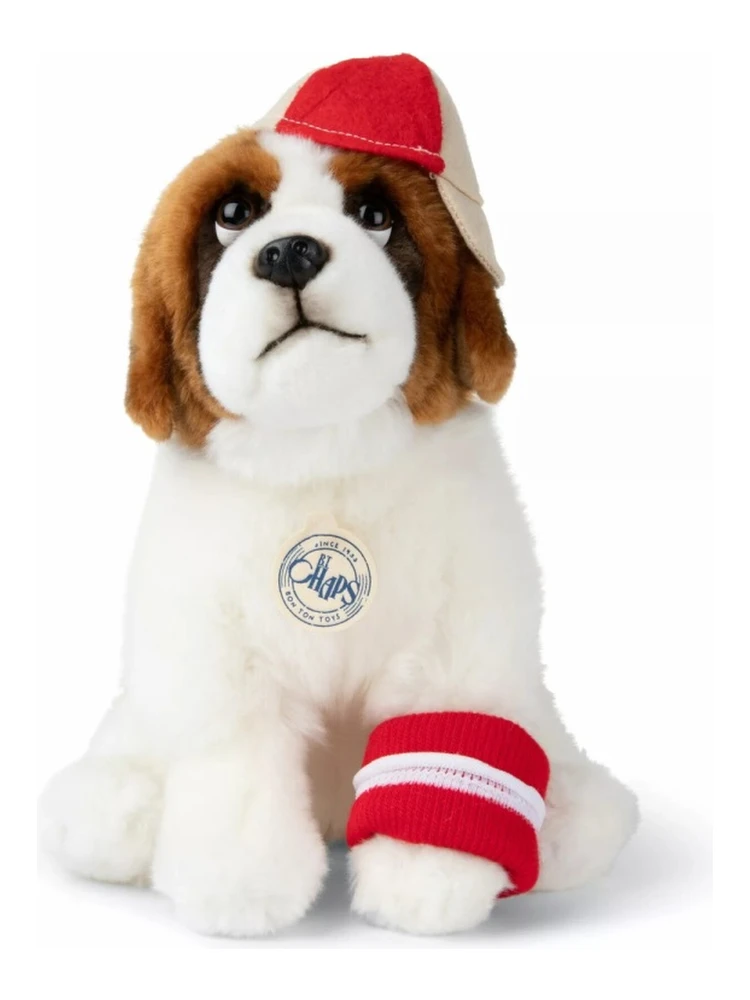 the st. bernard alternative