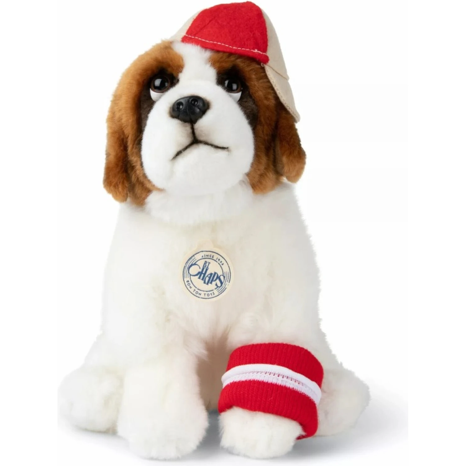 the st. bernard