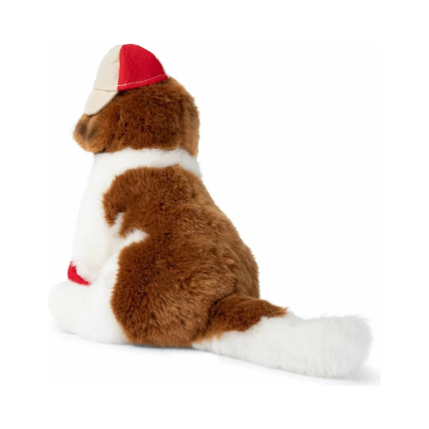 the st. bernard