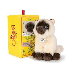 the siamese in giftbox