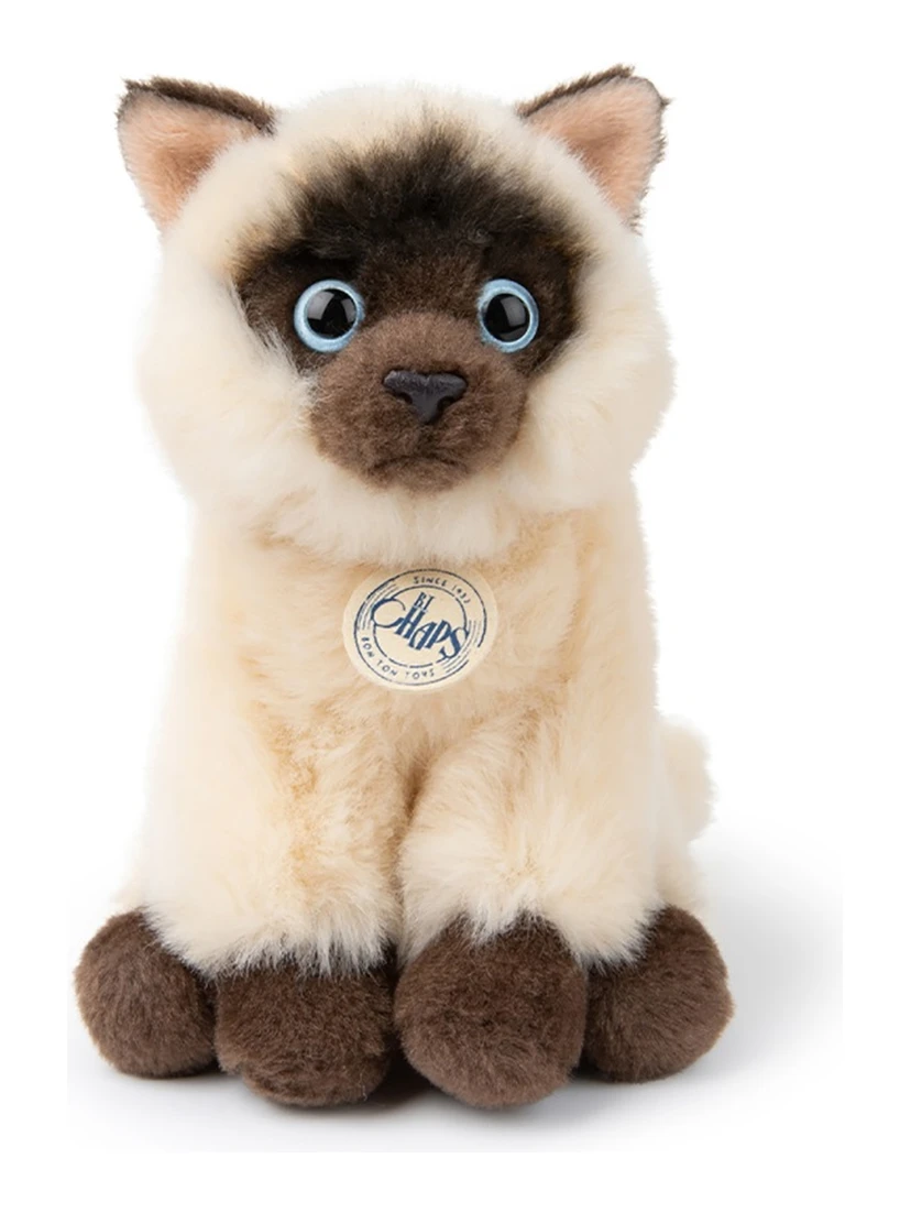 the siamese in giftbox