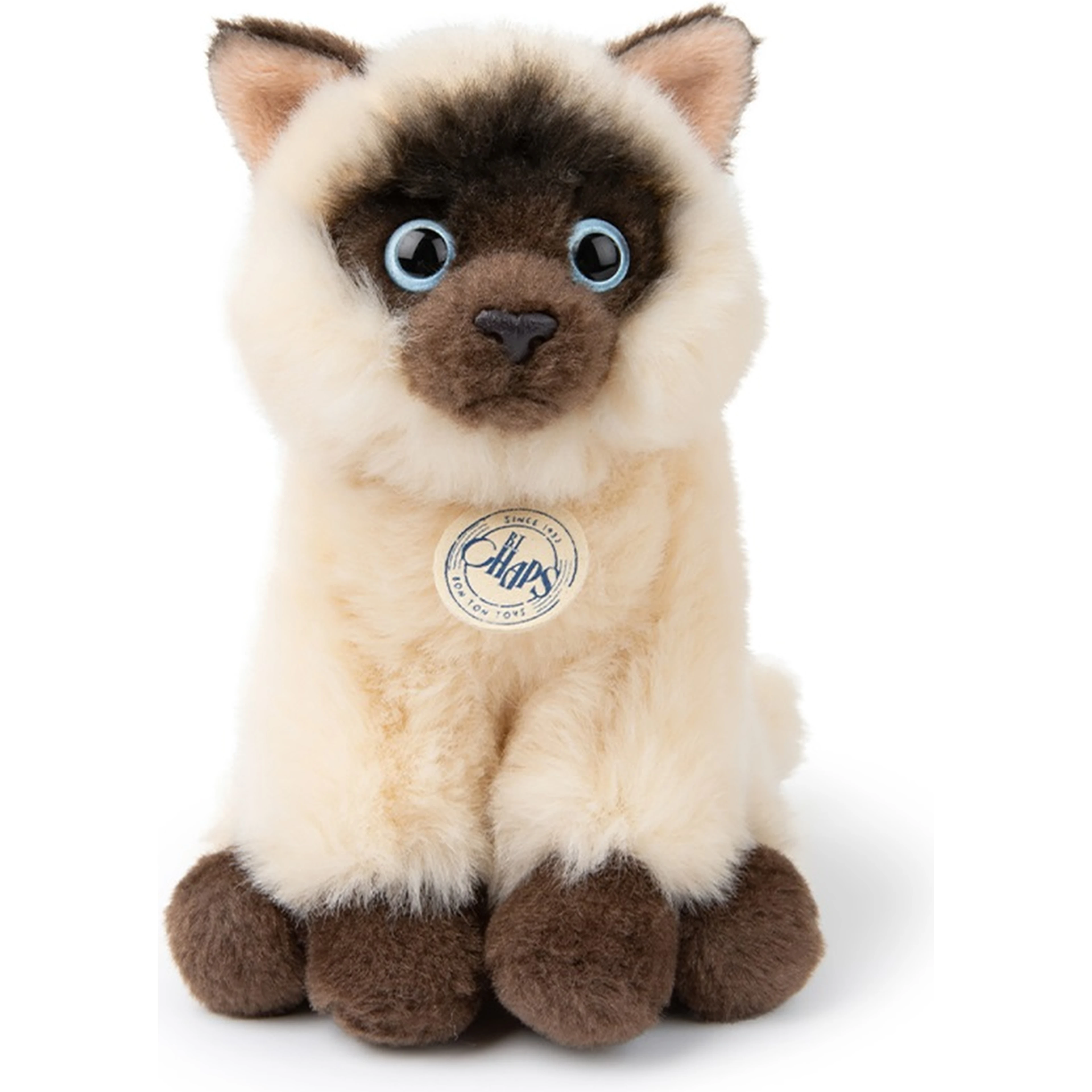 the siamese in giftbox