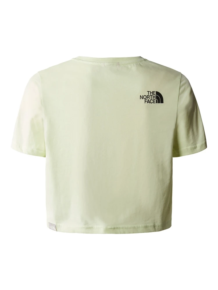 crop simple dome tee alternative