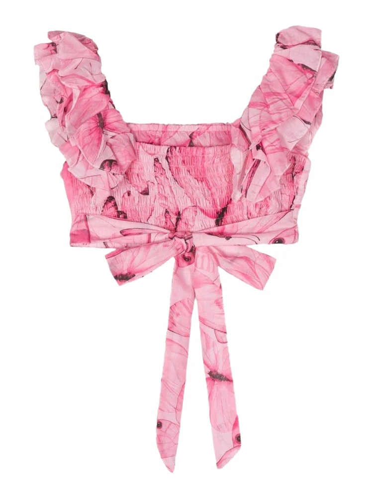 top butterflies alternative