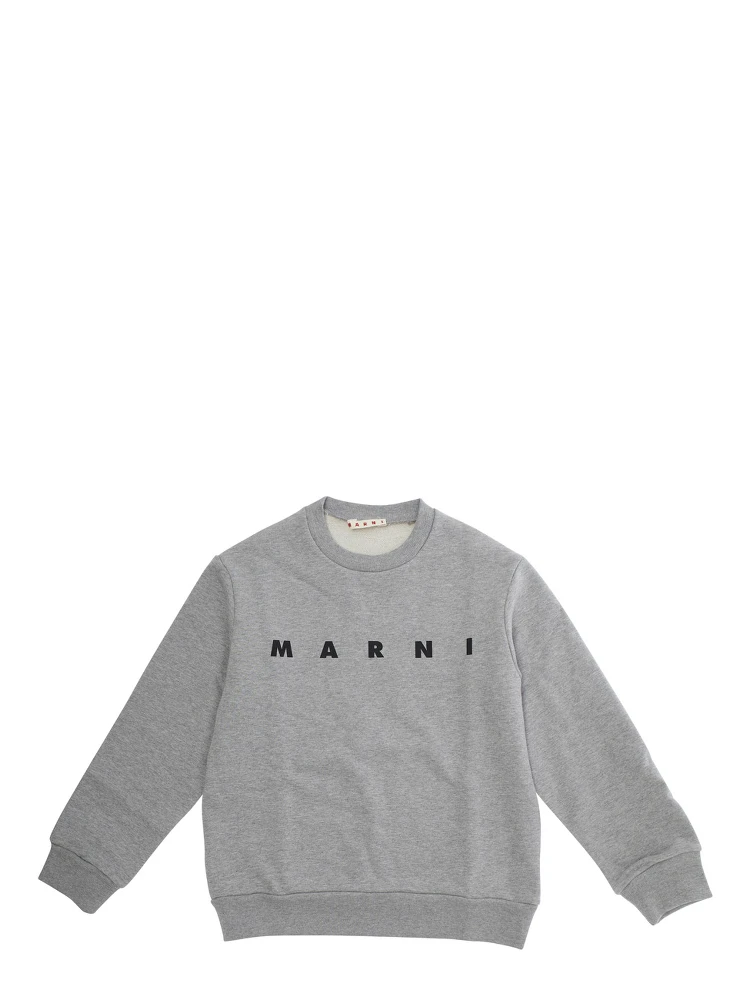 سويت شيرت رمادي اللون مزين بشعار مكتوب على الجهة الأمامية، مصنوع من القطن.