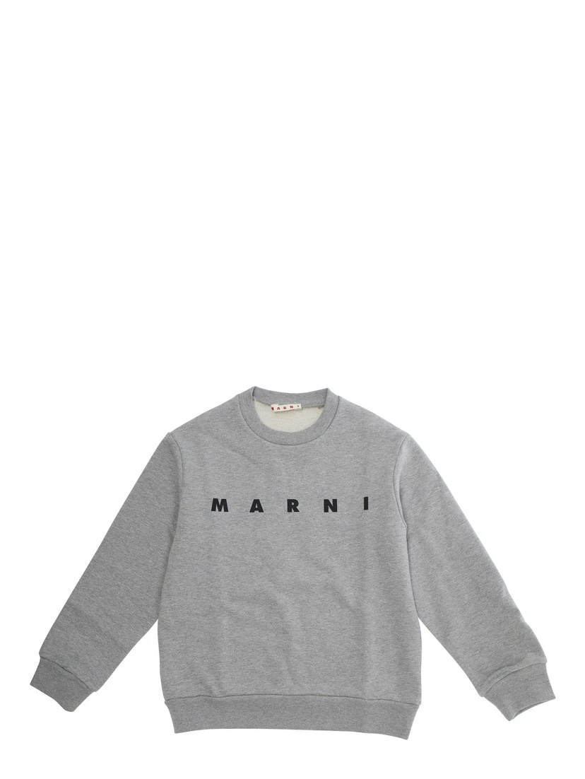 سويت شيرت رمادي اللون مزين بشعار مكتوب على الجهة الأمامية، مصنوع من القطن.