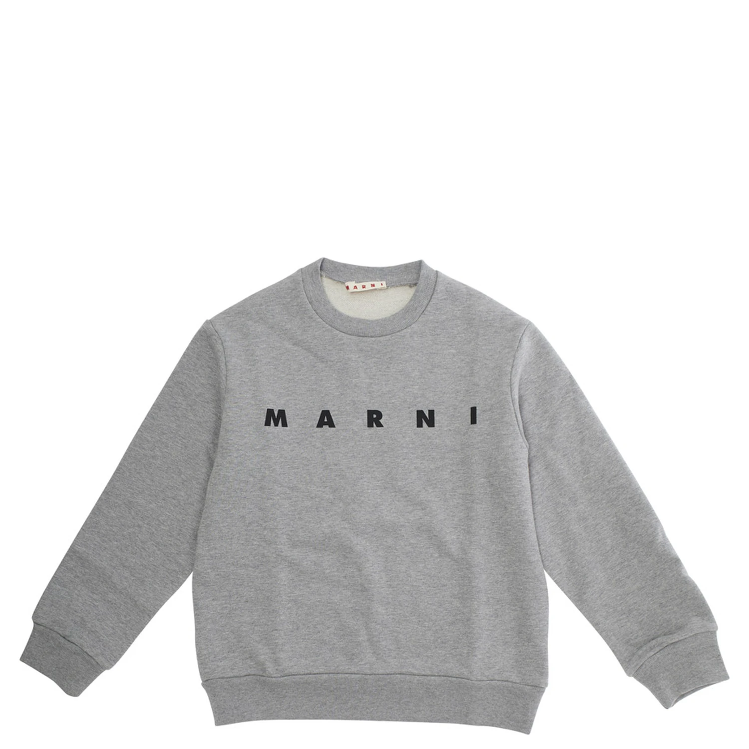 Grey Sweatshirt with Logo Lettering on the Front in Cotton Boy
