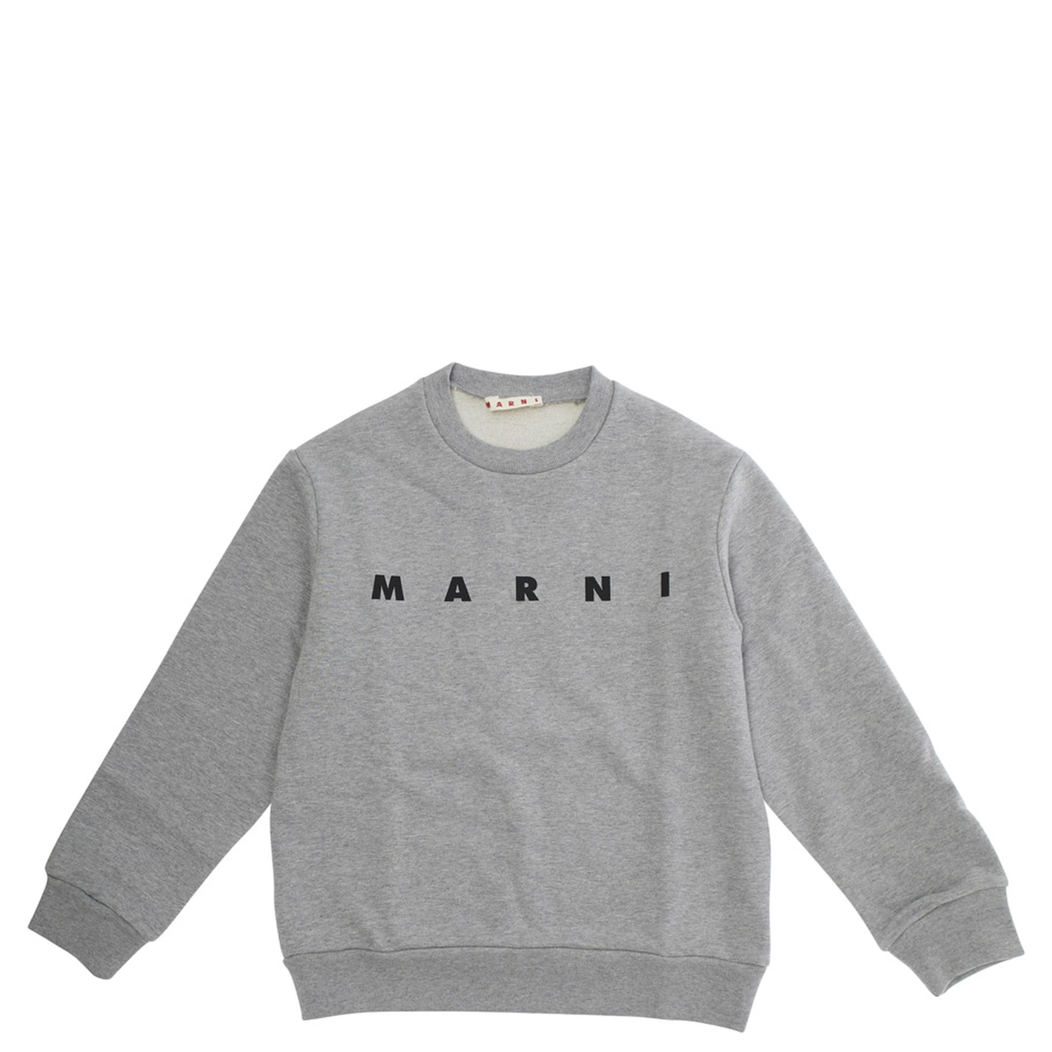 سويت شيرت رمادي اللون مزين بشعار مكتوب على الجهة الأمامية، مصنوع من القطن.