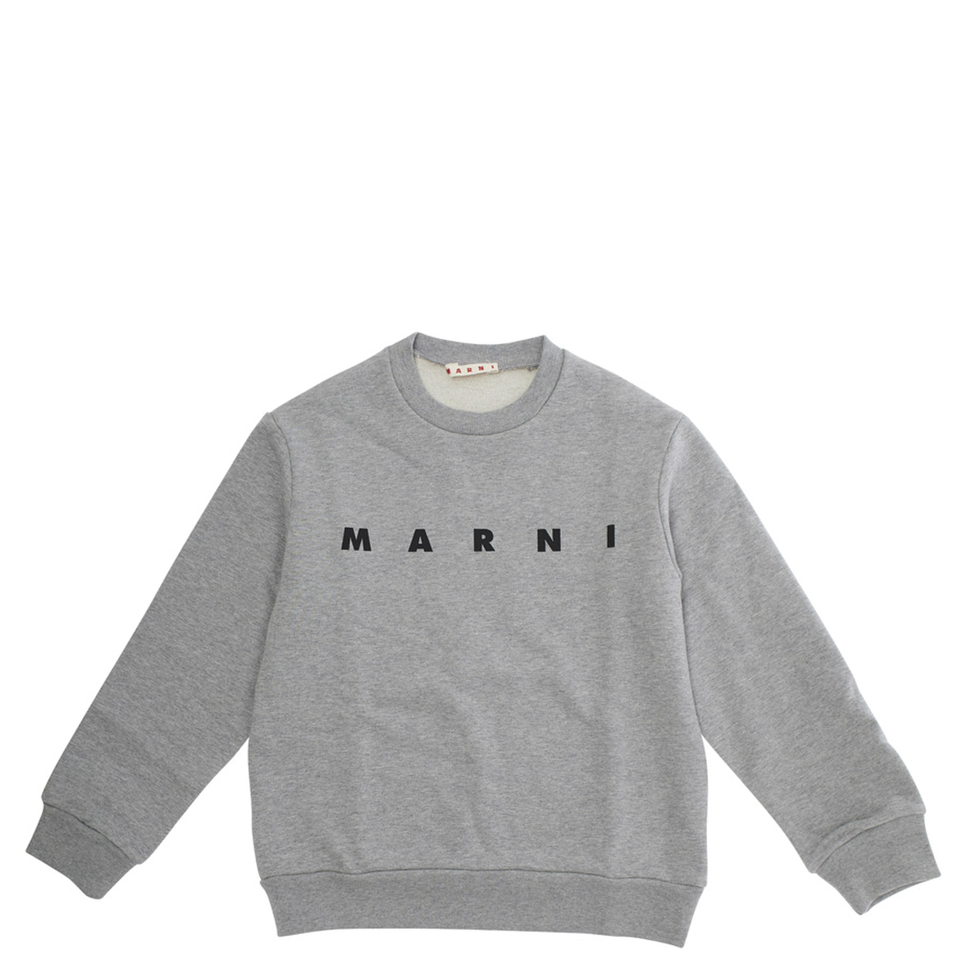 Grey Sweatshirt with Logo Lettering on the Front in Cotton Boy