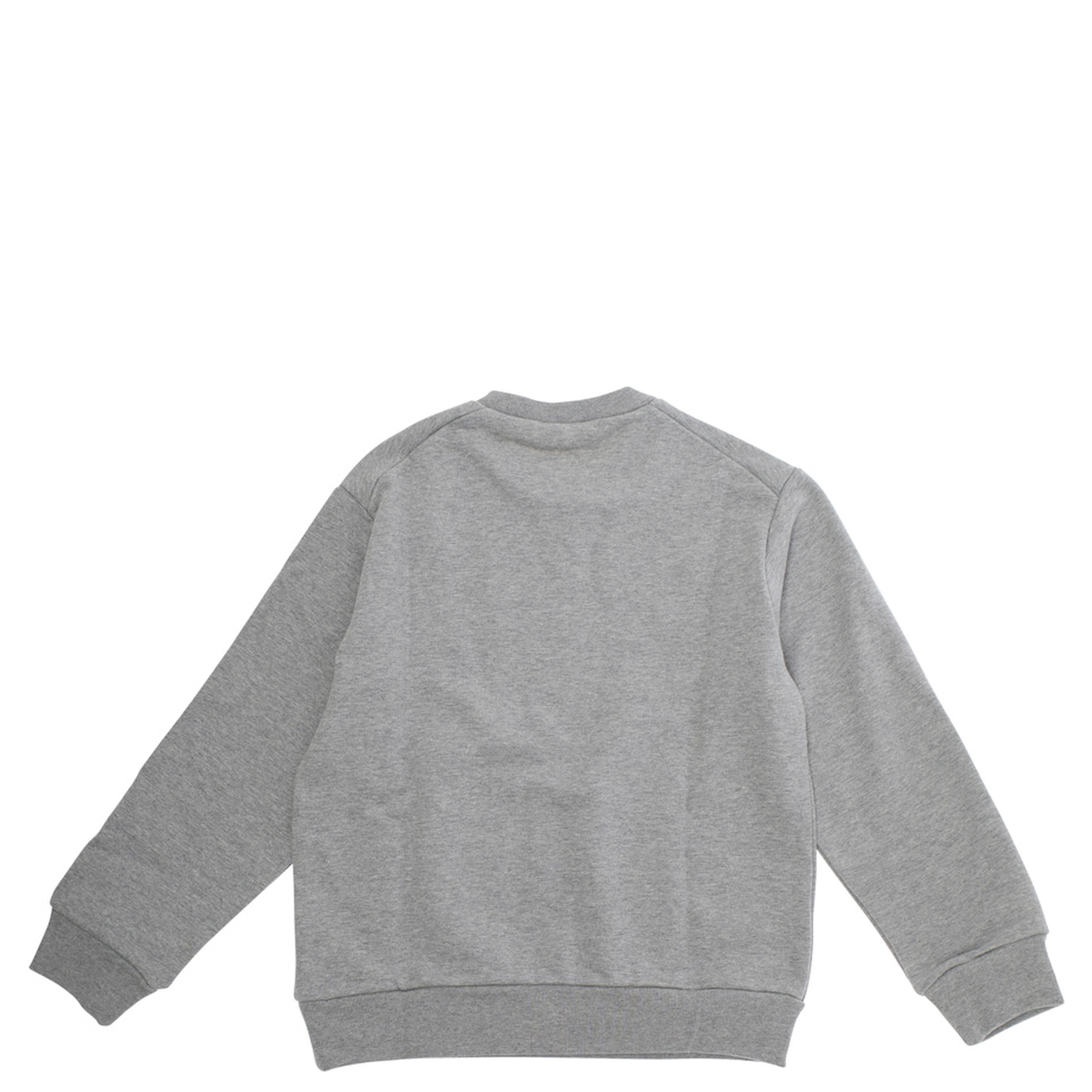 Grey Sweatshirt with Logo Lettering on the Front in Cotton Boy
