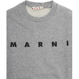 سويت شيرت رمادي اللون مزين بشعار مكتوب على الجهة الأمامية، مصنوع من القطن.