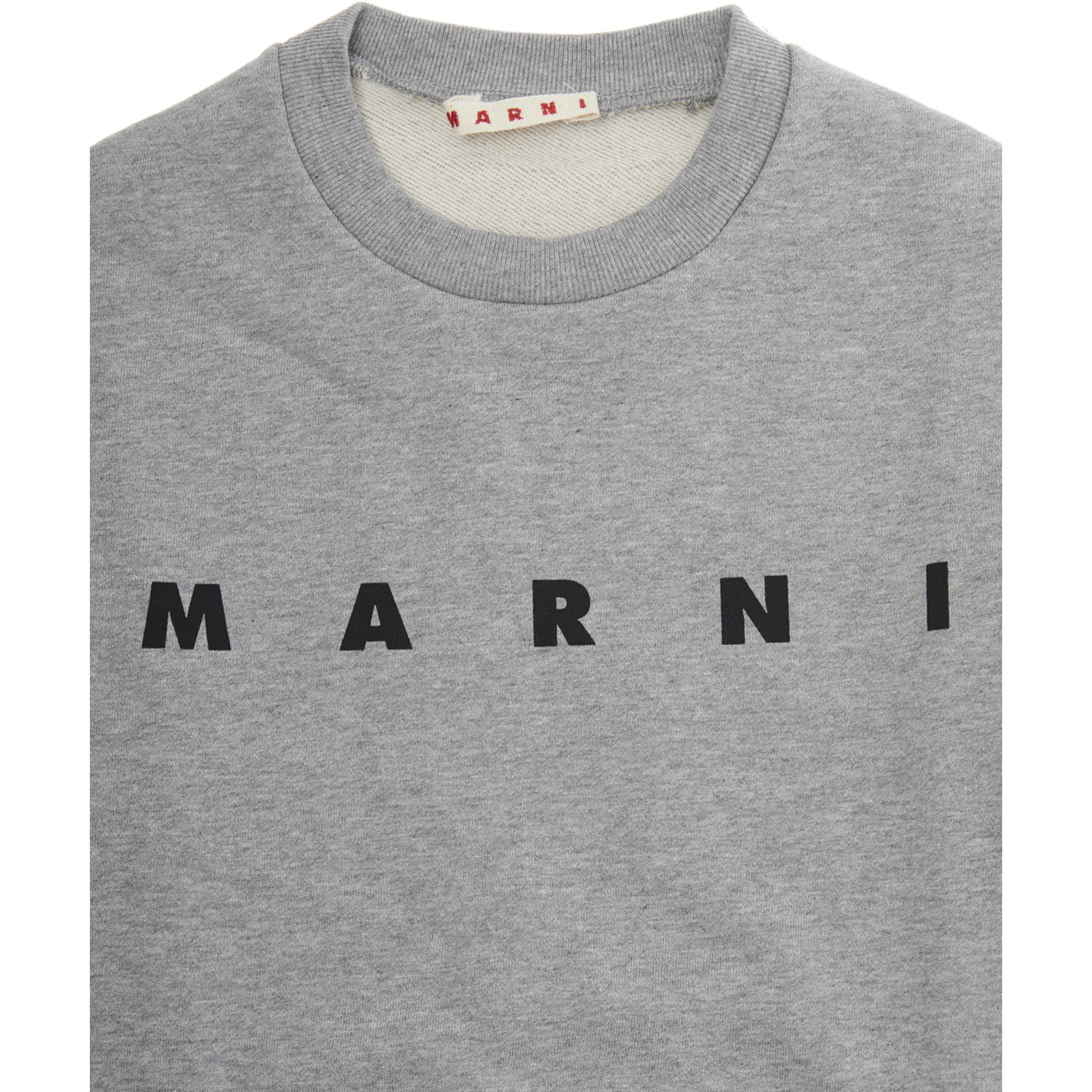 Grey Sweatshirt with Logo Lettering on the Front in Cotton Boy
