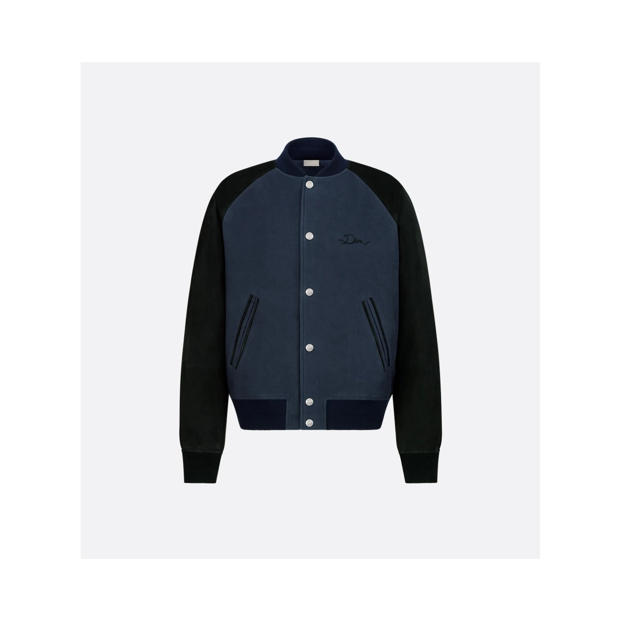 "Dior Ribbon leather bomber jacket