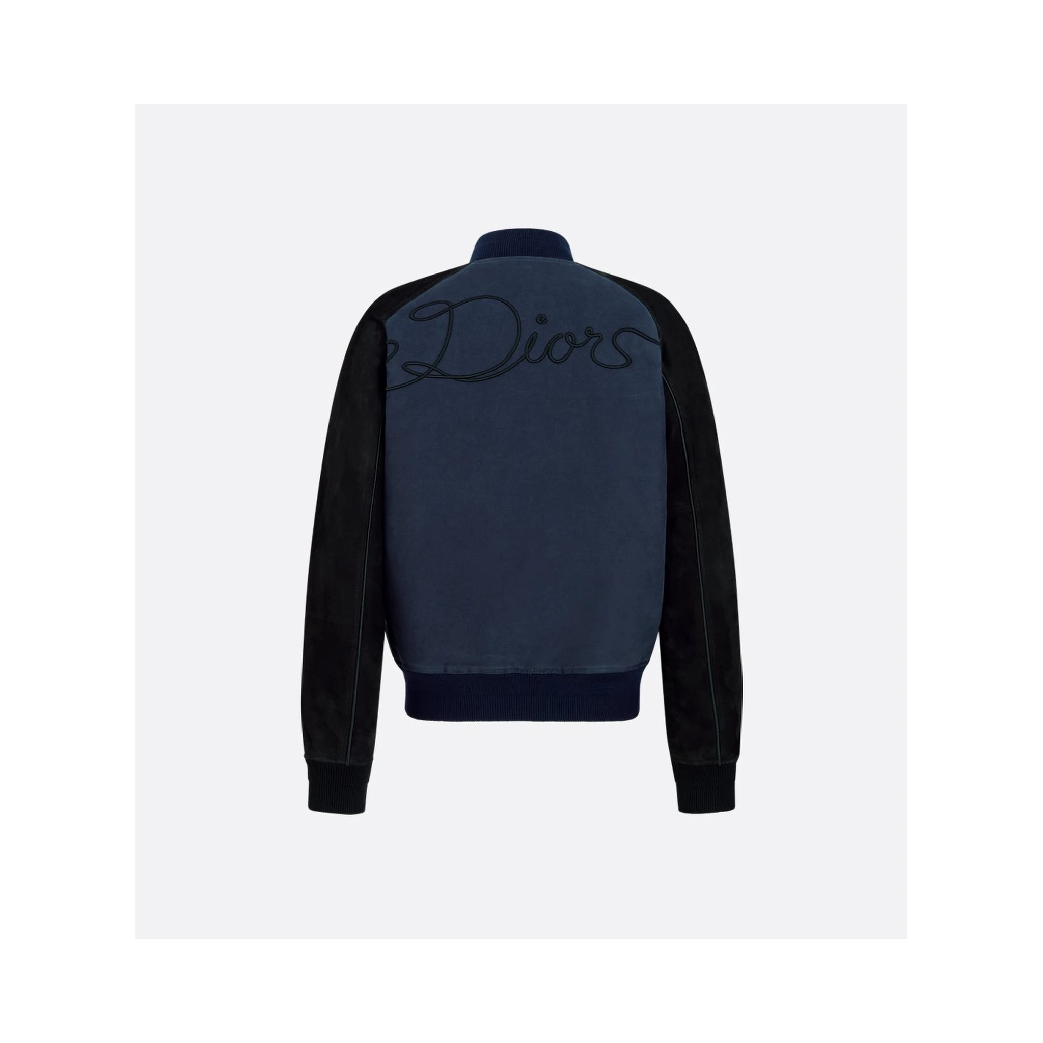"Dior Ribbon leather bomber jacket