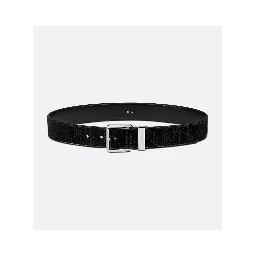 "Dior Oblique Galaxy" belt