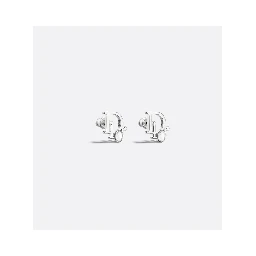 "Dior Sparkle" earrings