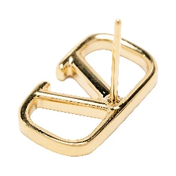 فالنتينو غارافاني بيجوكس الذهبي