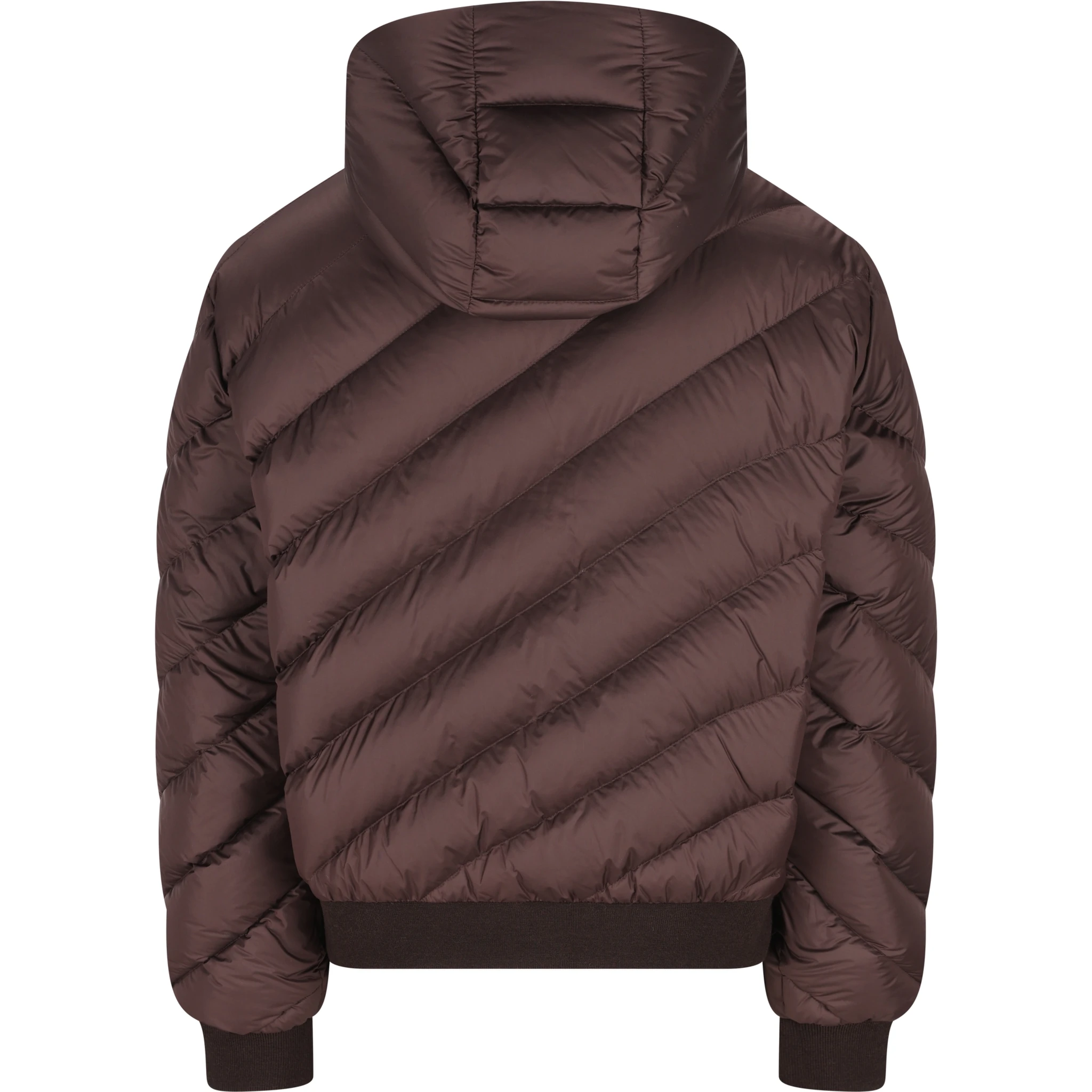 Fendi Coats Brown