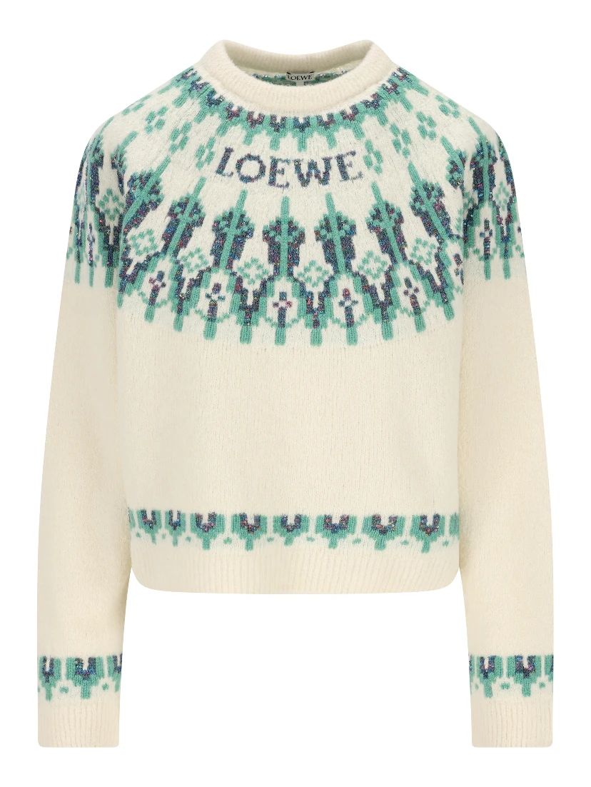 Loewe Sweaters