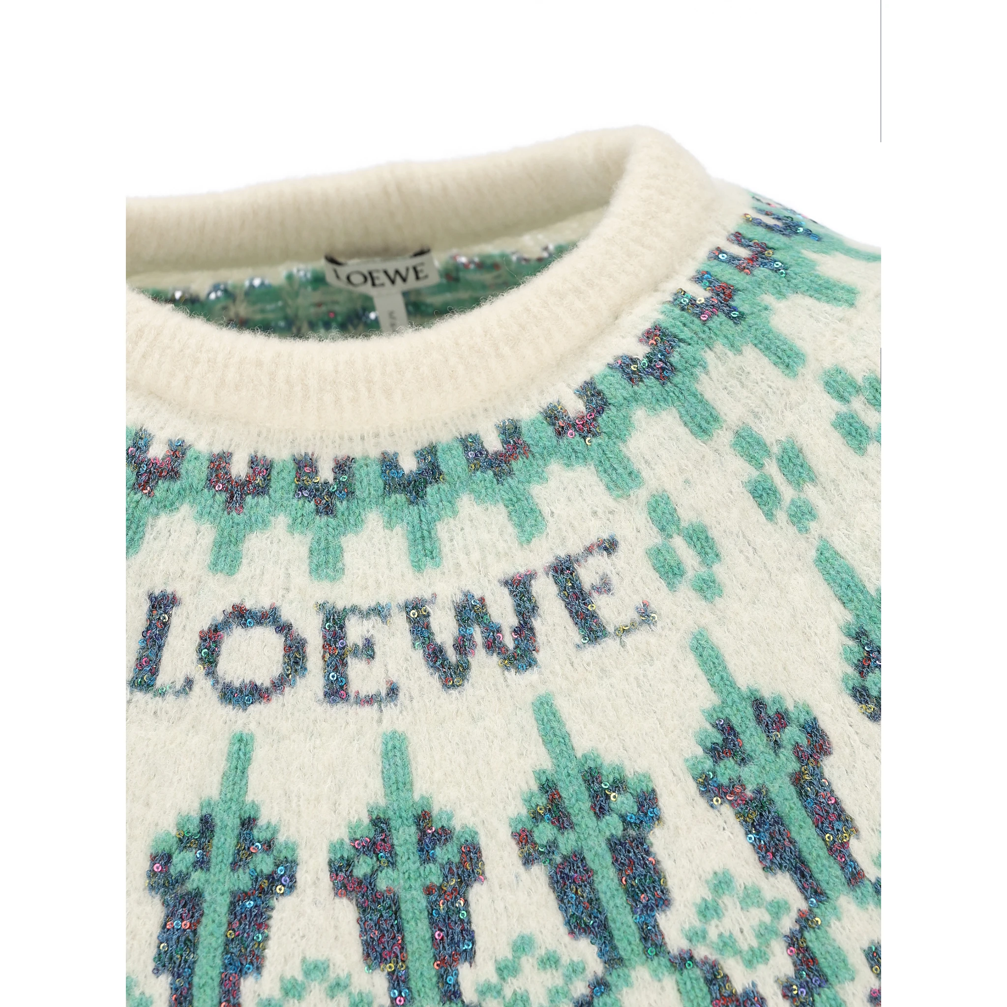 Loewe Sweaters