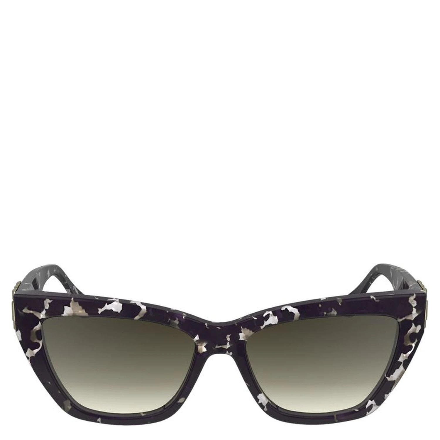 Black Acetate Sunglasses