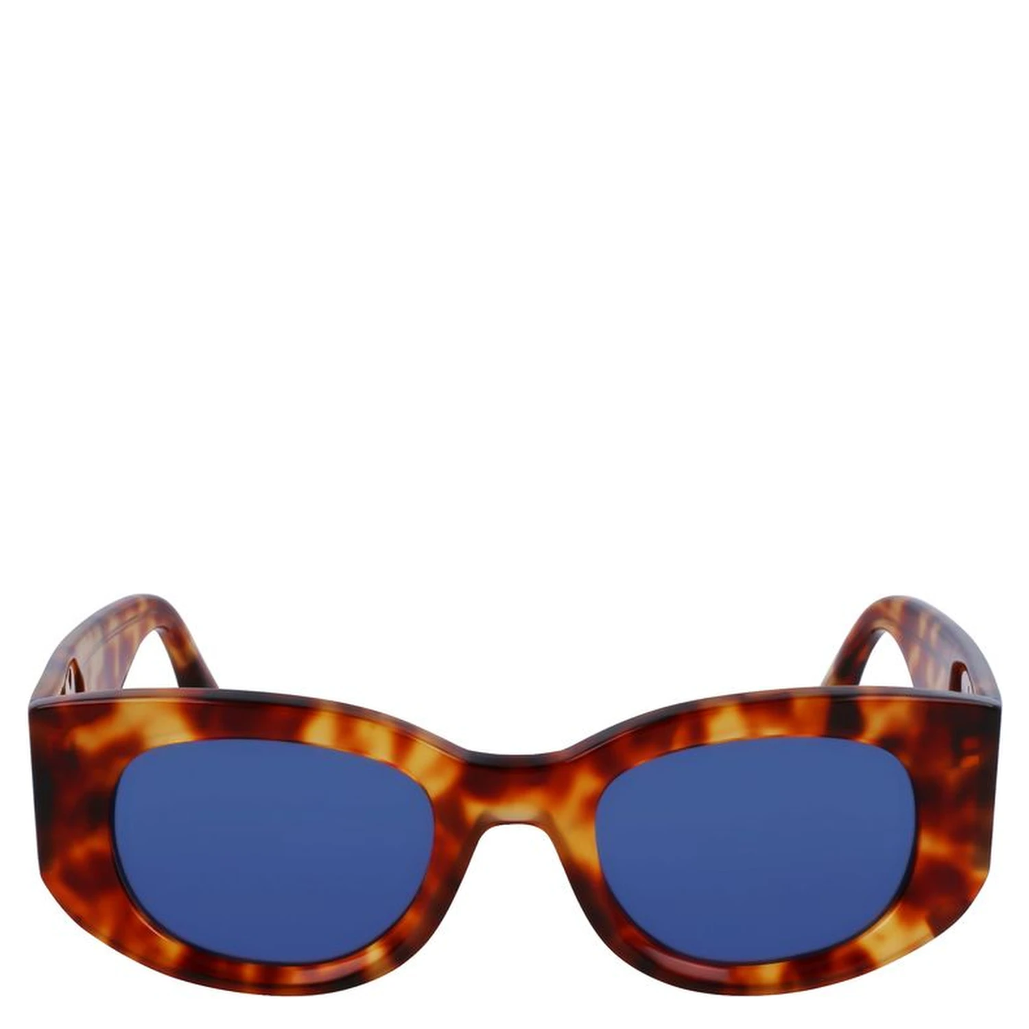 Brown Acetate Sunglasses