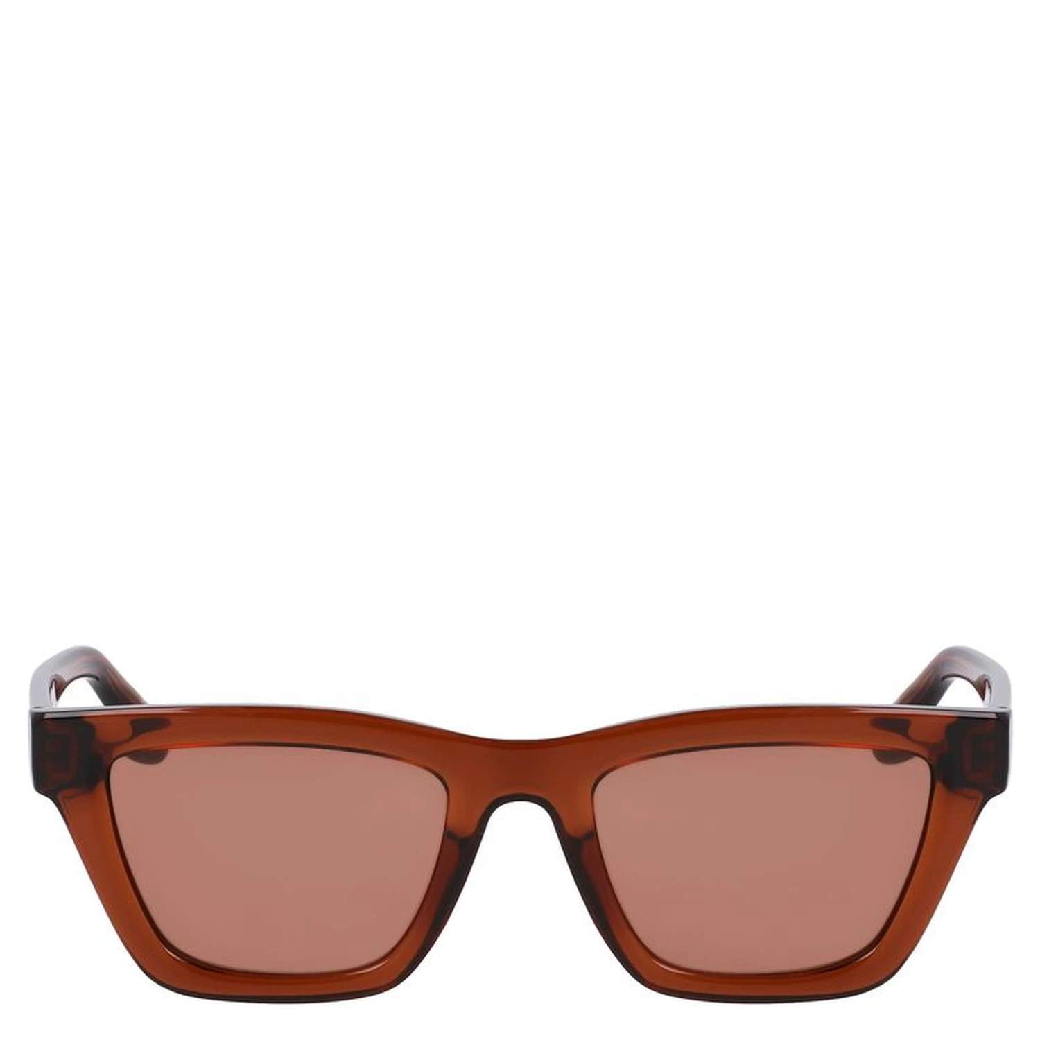Brown Injected Sunglasses