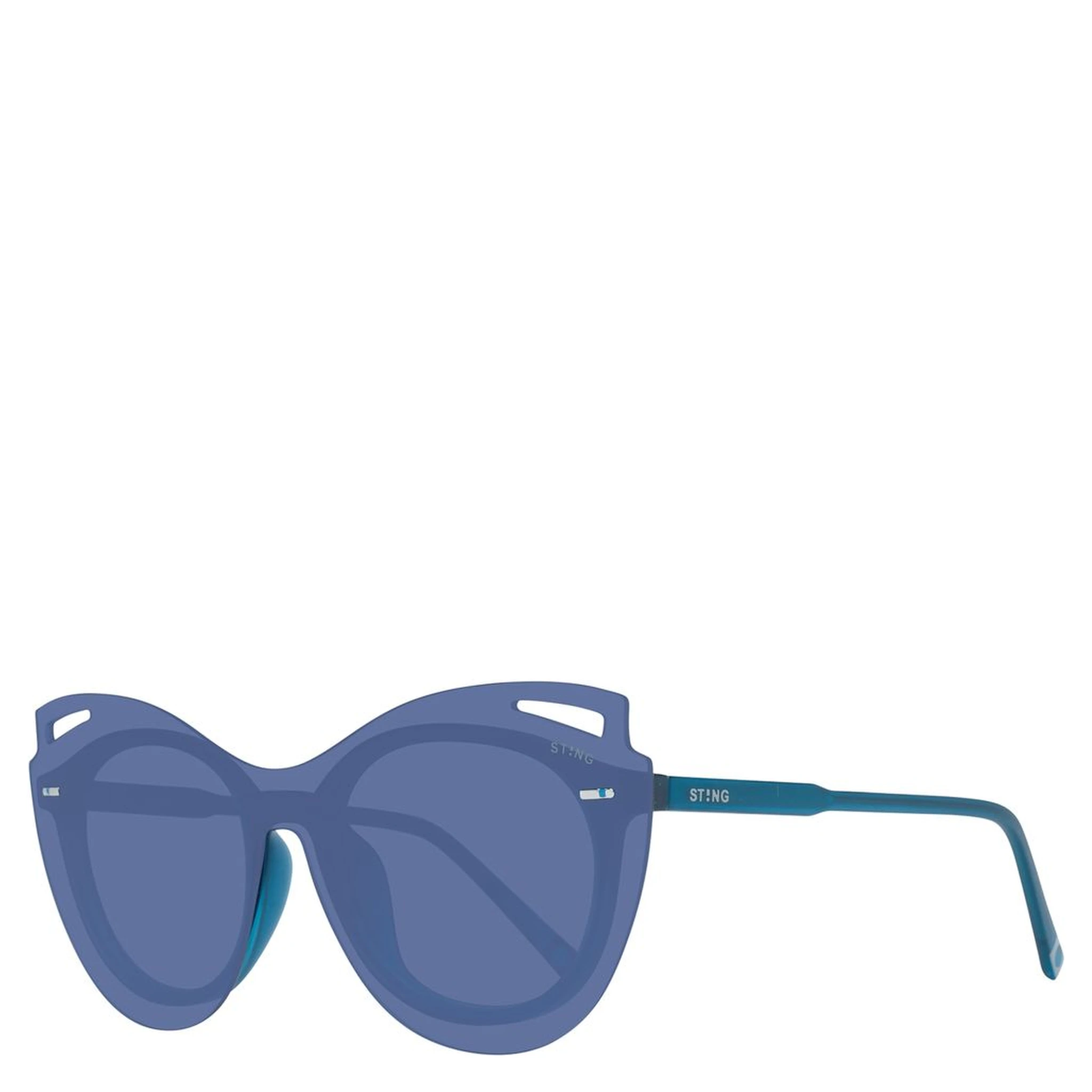 Blue Plastic Sunglasses